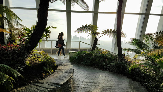Clean & Conscious: 7 Steps to Live Healthier in the City